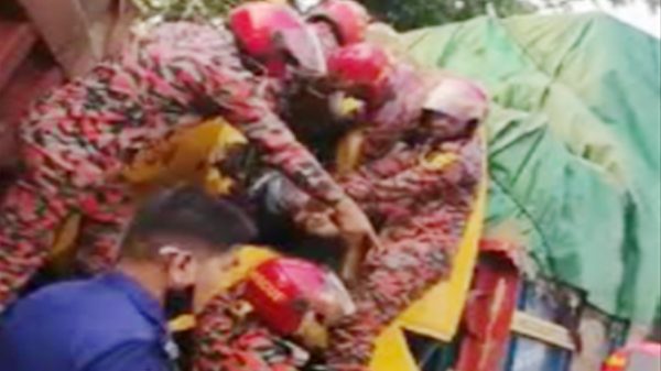 সিলেটের ওসমানীনগরে দুই ট্রাকের সংঘর্ষে  নিহত ২ - Natun Sylhet