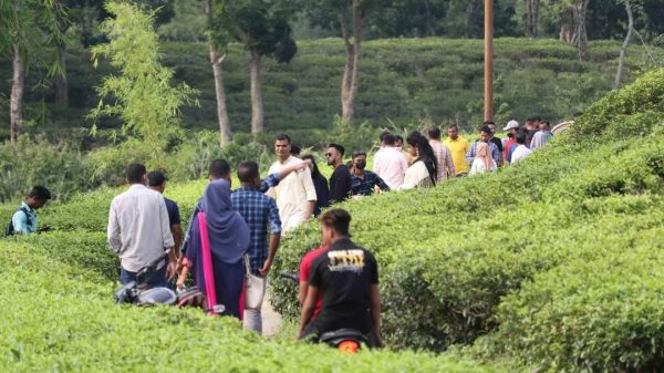 নিষেধাজ্ঞা স্বত্বেও সিলেটে পর্যটন কেন্দ্রগুলোতে ভিড় - Natun Sylhet