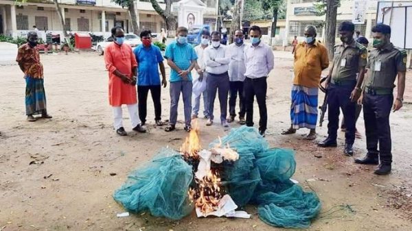 মাধবপুর রিং জাল জব্দ, আগুনে পুড়িয়ে ধ্বংস - Natun Sylhet