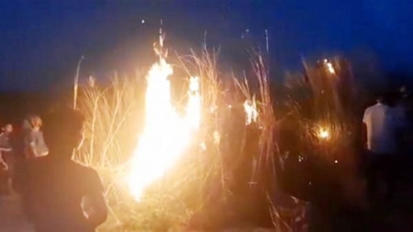 গোলাপগঞ্জের ভাইরাল কাশবনে দুর্বৃত্তদের আগুন - Natun Sylhet