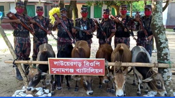সুনামগঞ্জ সীমান্তে বিপুল পরিমাণ মালামাল আটক - Natun Sylhet