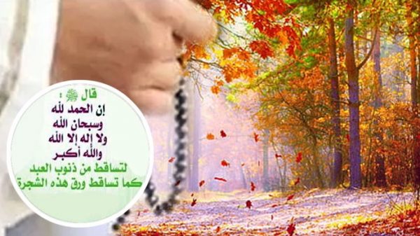 ঝরা পাতার মতো গুনাহ ঝরে যে আমলে - Natun Sylhet