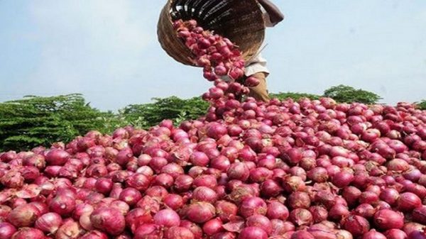 সিলেটে হঠাৎ বেড়ে গেছে পেঁয়াজের দাম - Natun Sylhet