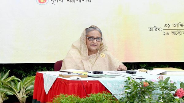খাদ্য উৎপাদন বাড়াতে গবেষণায় গুরুত্বারোপ প্রধানমন্ত্রীর - Natun Sylhet