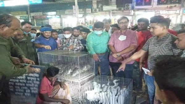 মদিনা মার্কেটে ৩৭টি পাখি উদ্ধার, বিক্রেতা আটক - Natun Sylhet