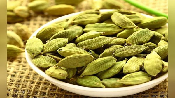 এলাচের কিছু অবিশ্বাস্য উপকারিতা - Natun Sylhet