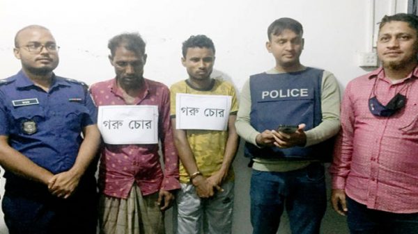 সিলেটে গরুসহ দুই চোর আটক - Natun Sylhet