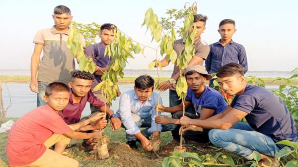 হিলফুল ফুযুল যুব সংঘের উদ্যোগে কবর স্থানে বৃক্ষ রোপন - Natun Sylhet