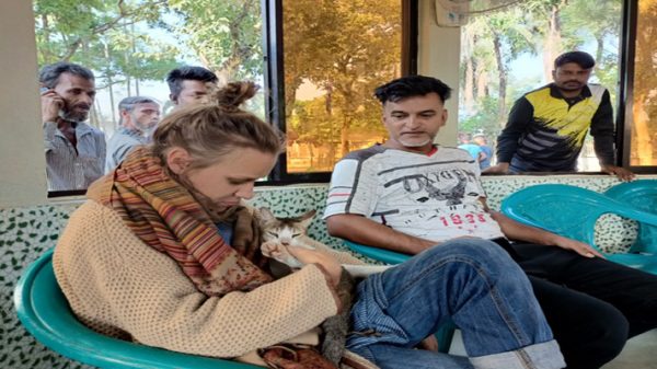 জার্মান নারীর পোষা বিড়ালকে পেয়ে স্বদেশের উদ্দেশ্যে যাত্রা - Natun Sylhet