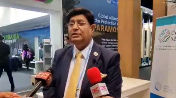 দশটি কয়লাভিত্তিক বিদ্যুৎকেন্দ্র বন্ধ করেছি : ড. মোমেন - Natun Sylhet