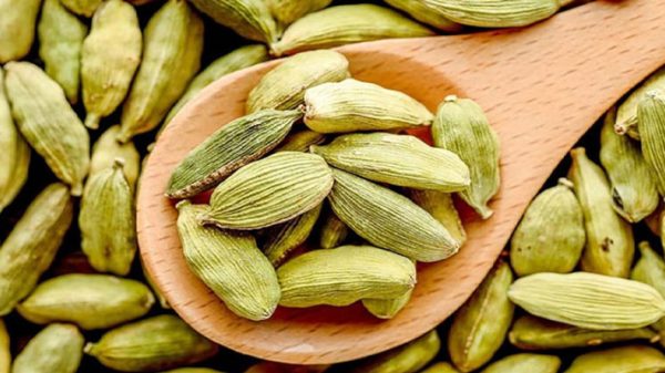 এলাচের কিছু অবিশ্বাস্য উপকারিতা - Natun Sylhet