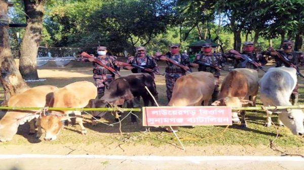 তাহিরপুর সীমান্তে গরুসহ ভারতীয় মালামাল জব্দ - Natun Sylhet