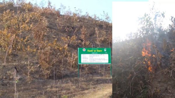 শাবিপ্রবি ক্যাম্পাস অভ্যন্তরে টিলায় আগুন, শিক্ষার্থীদের উদ্বেগ - Natun Sylhet