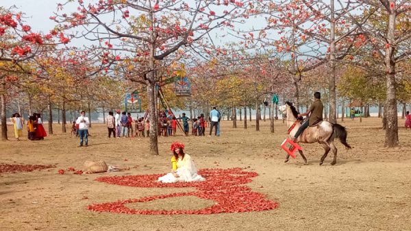 লাল রঙে আপন মহিমায় সেজেছে শিমুল বাগান - Natun Sylhet