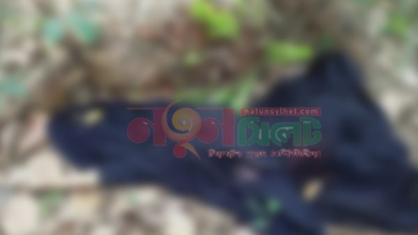 হবিগঞ্জ সাতছড়িতে  স্ত্রীকে বেড়াতে নিয়ে ‘হত্যা’, স্বামী আটক - Natun Sylhet