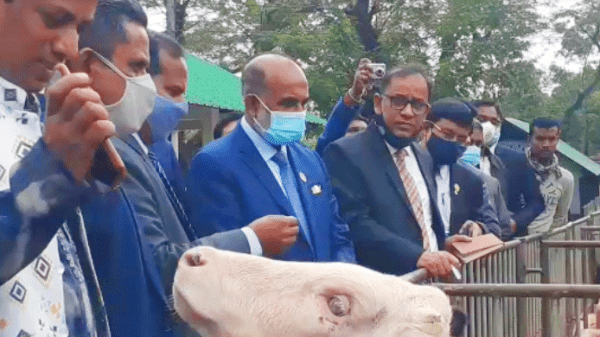 ‘ওদের অভিজ্ঞতা নেই, লেখাপড়া করে আসেনি’ - Natun Sylhet