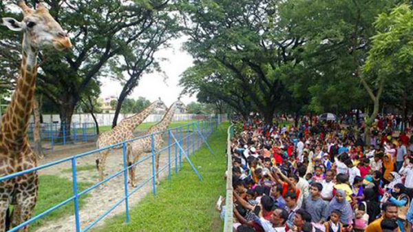চিড়িয়াখানা থেকে হারিয়ে গেল ৪০ শিশু! - Natun Sylhet
