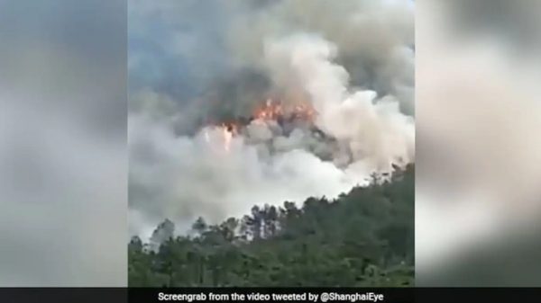 চীনে গুয়ানঝি অঞ্চলে ১৩৩ যাত্রী নিয়ে প্লেন বিধ্বস্ত - Natun Sylhet