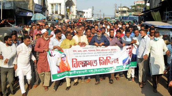 দক্ষিণ সুরমা উপজেলা বিএনপির বিক্ষোভ মিছিল - Natun Sylhet