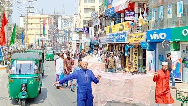 সিলেটে মশা নিধনের দাবিতে ‘মশারি শোভাযাত্রা’ - Natun Sylhet