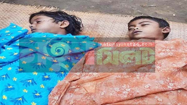 ছাতকে পানিতে ডুবে দুই বোনের মর্মান্তিক মৃত্যু! - Natun Sylhet
