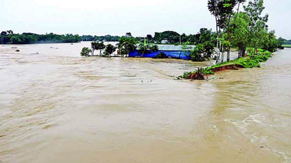 সুনামগঞ্জে ভারী বৃষ্টিতে বাড়ছে নদীর পানি, আশষ্কায় কৃষকেরা - Natun Sylhet