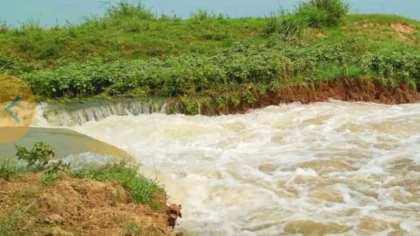 তলিয়ে গেছে তাহিরপুরের এরালিয়া কোনা হাওর - Natun Sylhet