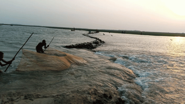 শাল্লায় তলিয়েছে ৫শ’ একর জমির ফসল - Natun Sylhet