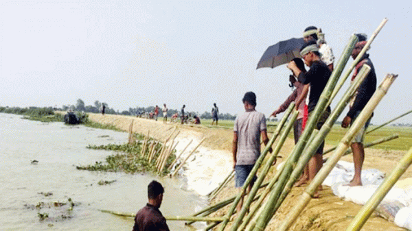 জগন্নাথপুরে ধসে গেছে চারটি বেড়িবাঁধ, ফসল হারানোর শঙ্কা - Natun Sylhet