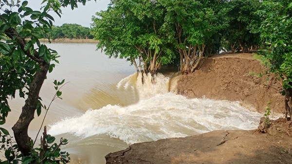 গুরমার হাওরের বাঁধ ভেঙ্গে ডুকছে পানি, হাজারো কৃষকের স্বপ্ন ভঙ্গ - Natun Sylhet