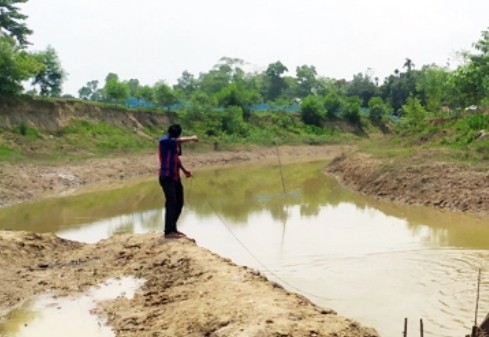 অবৈধভাবে শিকারে ধ্বংস হচ্ছে দেশি মাছ - Natun Sylhet