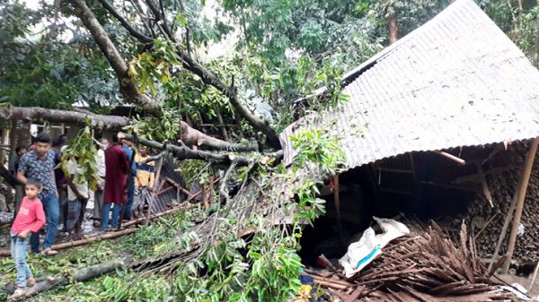 সিলেটে কালবৈশাখী ঝড়ে ৪ জনের প্রাণহানি - Natun Sylhet