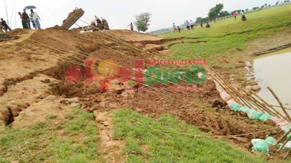 হাওরে ফসল রক্ষা বাঁধে বড় ফাটল, ফসল নিয়ে শঙ্কা - Natun Sylhet