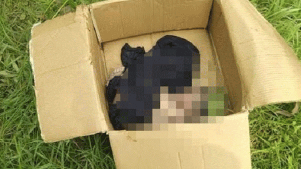 মাধবপুরে রাস্তার পাশে পড়ে ছিল নবজাতকের কার্টনবন্দি লাশ - Natun Sylhet