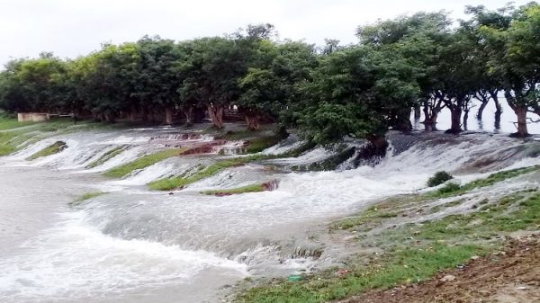 বাঁধ উপচে পানি ঢুকছে হাওরে, ঝুঁকিতে জমির ফসল - Natun Sylhet