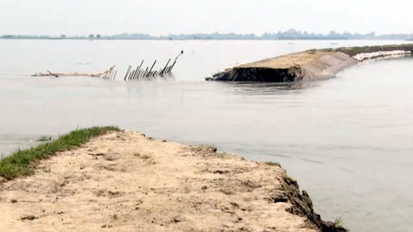 উজানে ভারী বৃষ্টিপাতের আভাস: হাওরের ধান দ্রুত কাটার আহ্বান - Natun Sylhet