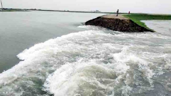 শাল্লায় ছায়ার হাওরে বাঁধ ভেঙে ডুকছে পানি, তলিয়ে গেছে ধান - Natun Sylhet