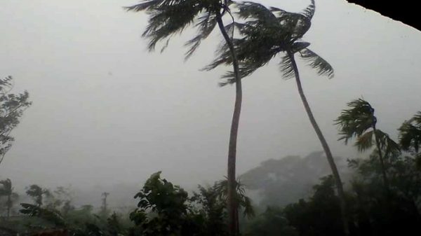 বছরের প্রথম দিন: সিলেটে কালবৈশাখী ঝড়ে ৮ জনের মৃত্যু - Natun Sylhet