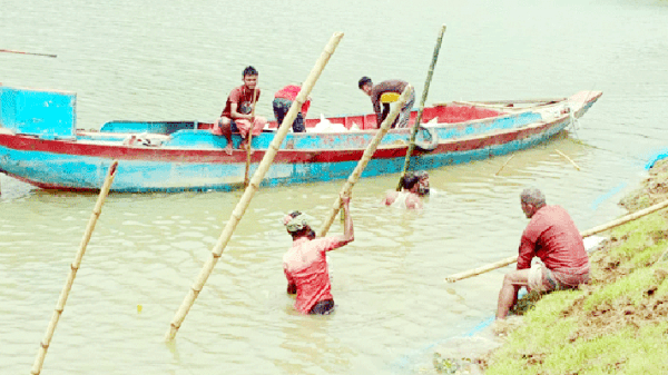 সুনামগঞ্জে হাওরে বাঁধে বাঁধে কৃষকদের ফসল রক্ষার যুদ্ধ! - Natun Sylhet