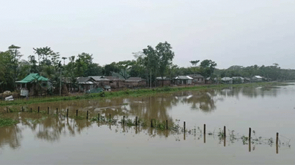 পাহাড়ি ঢলে সিলেটের নিম্নাঞ্চল প্লাবিত - Natun Sylhet