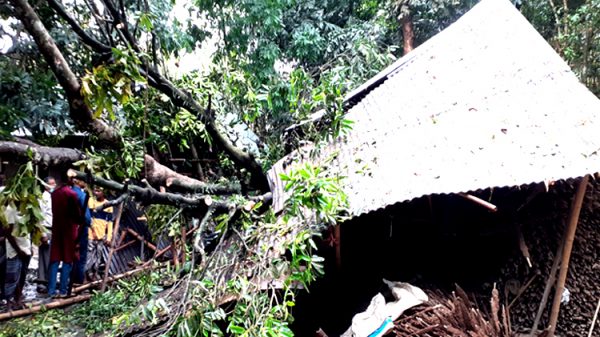 জগন্নাথপুরে কালবৈশাখী ঝড়ে একই পরিবারের ৩ জনের মৃত্যু - Natun Sylhet