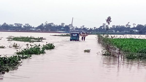 হবিগঞ্জের স্বজনগ্রামে আর মাত্র ১ ফুট পানি বাড়লেই যান চলাচল বন্ধ! - Natun Sylhet