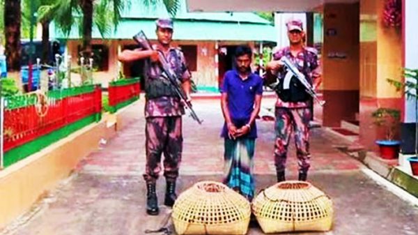 শ্রীমঙ্গলে ভারত সীমান্তে পাচারকালে হাঁসের ছানা জব্দ, আটক ১ - Natun Sylhet