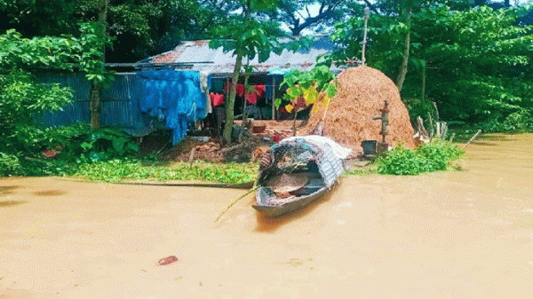 ফেঞ্চুগঞ্জে পানিবন্দি মানুষের দুর্ভোগ বাড়ছে - Natun Sylhet