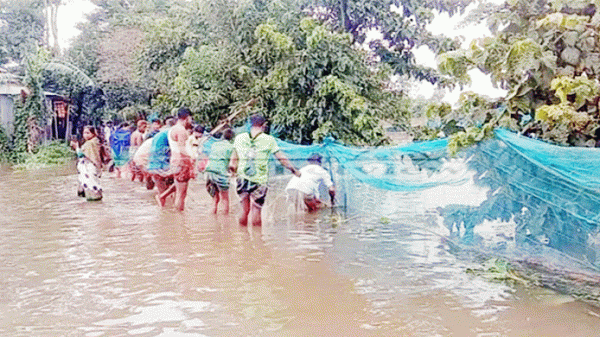 সুনামগঞ্জে বন্যায় মৎস্য সম্পদের ৫ কোটির টাকা ক্ষতি - Natun Sylhet