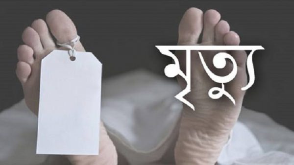 বিদ্যুৎ চালু রেখেই কাজ- লাইনম্যানের মর্মান্তিক মৃত্যু - Natun Sylhet