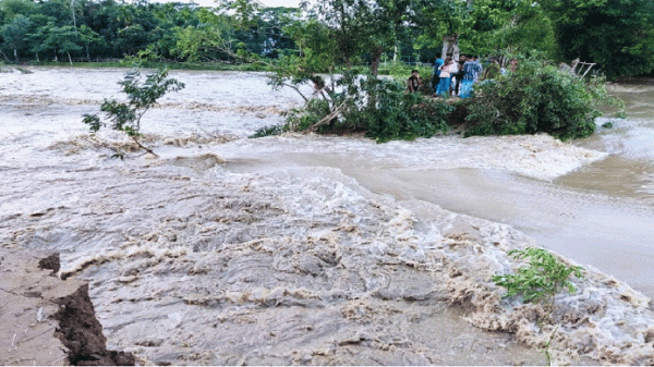 জকিগঞ্জে পানিবন্দি অর্ধলক্ষাধিক মানুষ - Natun Sylhet