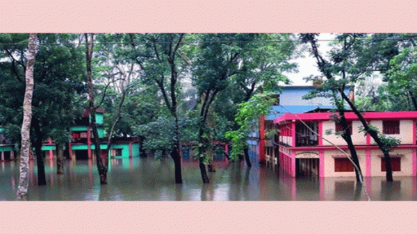 বন্যার কারণে কানাইঘাটে ভোটার তালিকা হালনাগাদের কাজ স্থগিত - Natun Sylhet