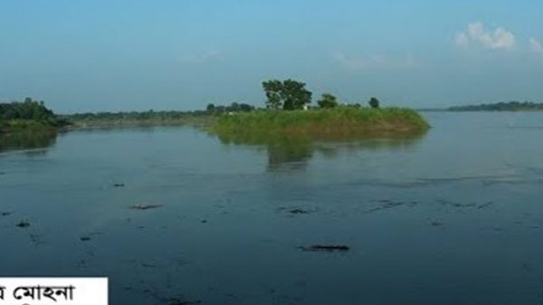 জকিগঞ্জে উজানের ঢলে ভাঙলো ৩ নদীর মোহনার ডাইক - Natun Sylhet