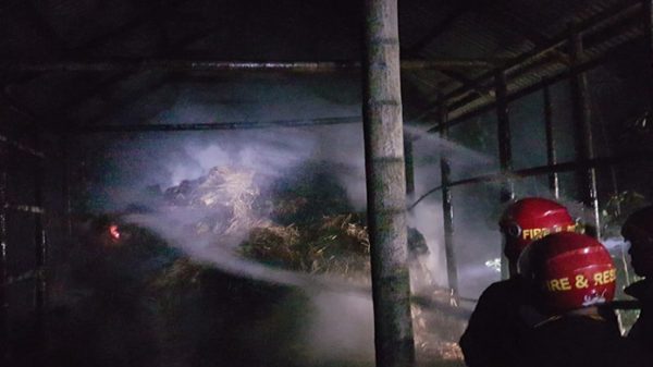 বিয়ানীবাজারে গরুর ফার্মে দুস্কৃতিকারীদের অগ্নিসংযোগ - Natun Sylhet
